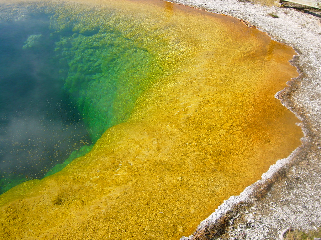 Morning Glory Pool, Yellowstone