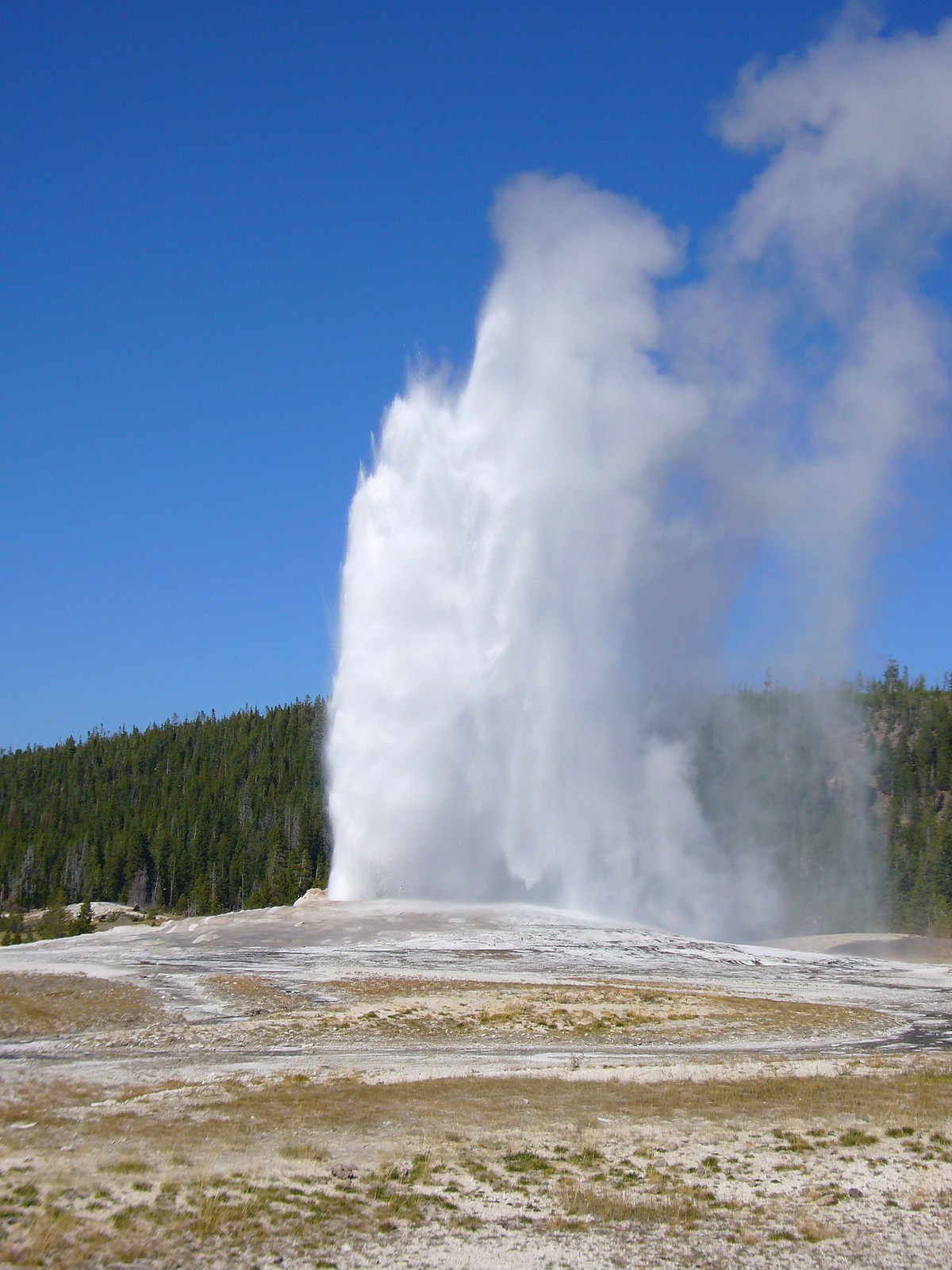 Old Faithful eruption, Yellowstone
