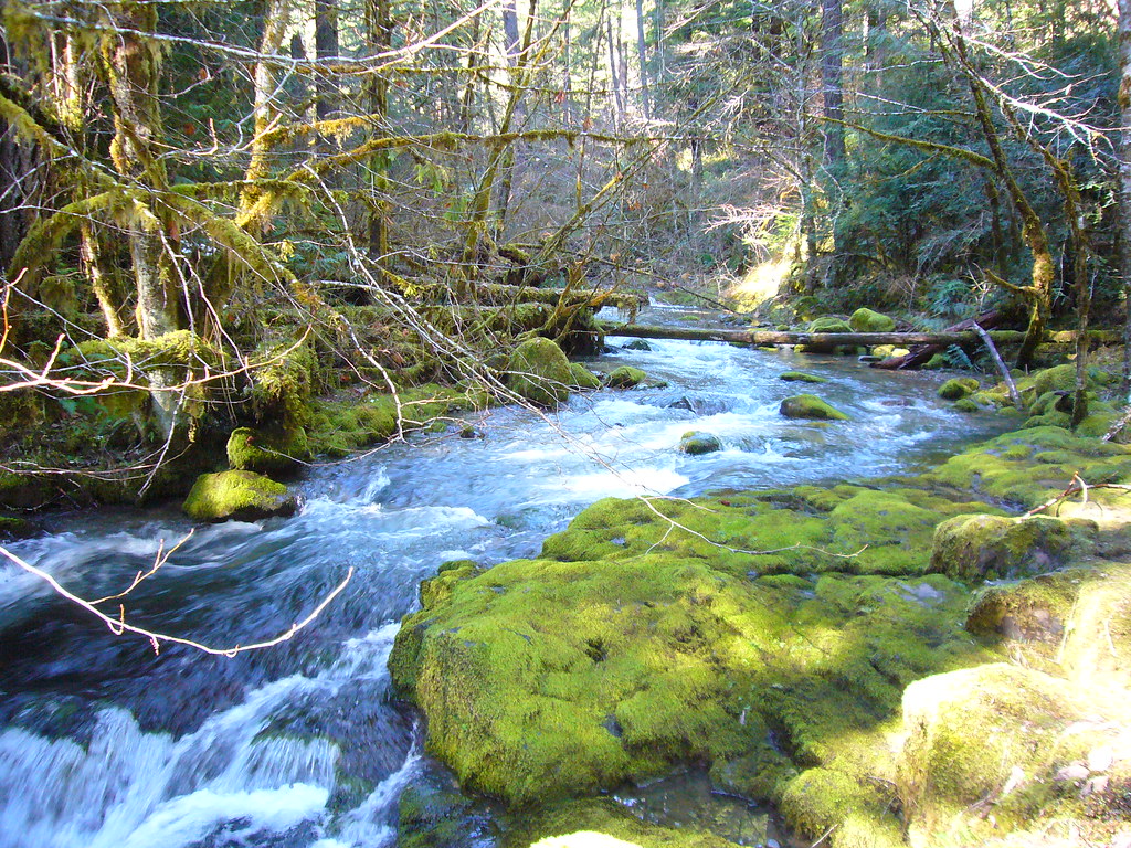 Larison Creek