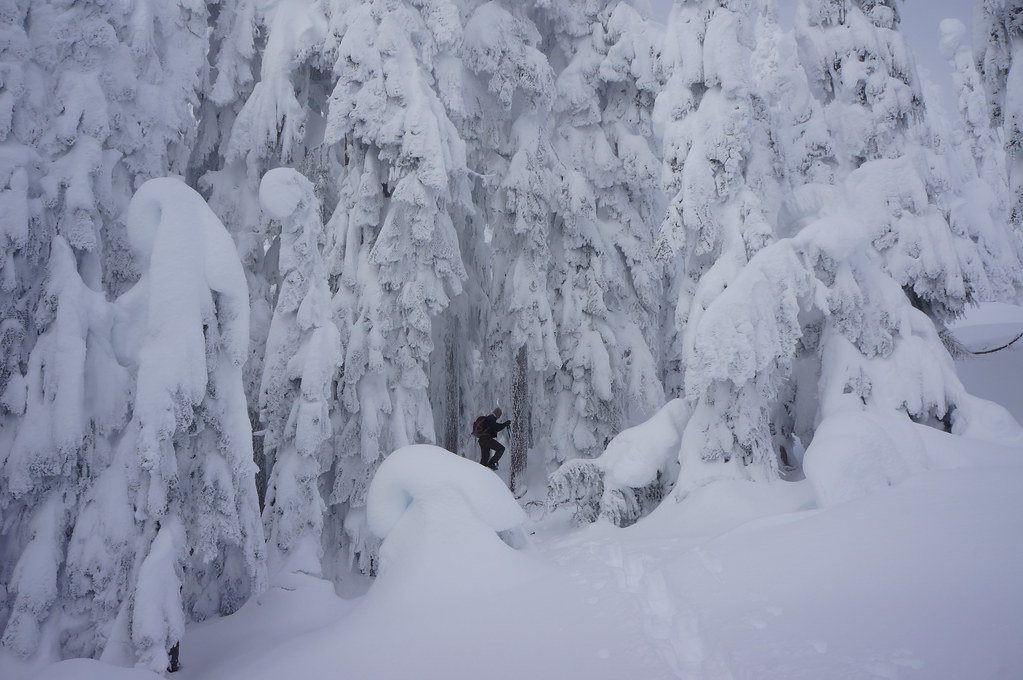 Snowshoer disappears in a cathedral of ice on the east ridge of Union