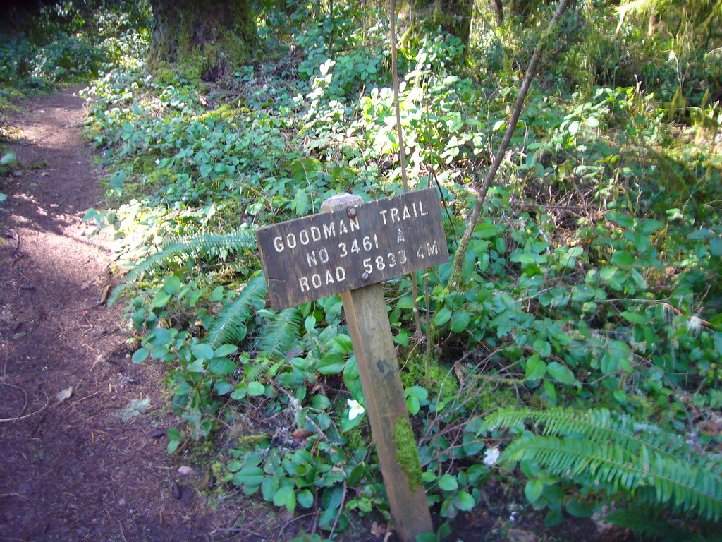 Goodmain Trail Head
