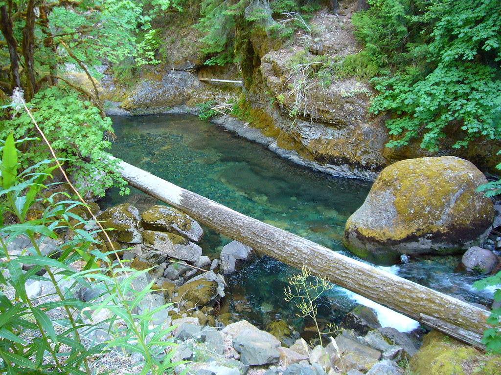 Swimming Hole in Brice Creek