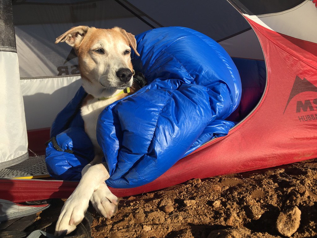 Liesl enjoying the morning sun in our tent