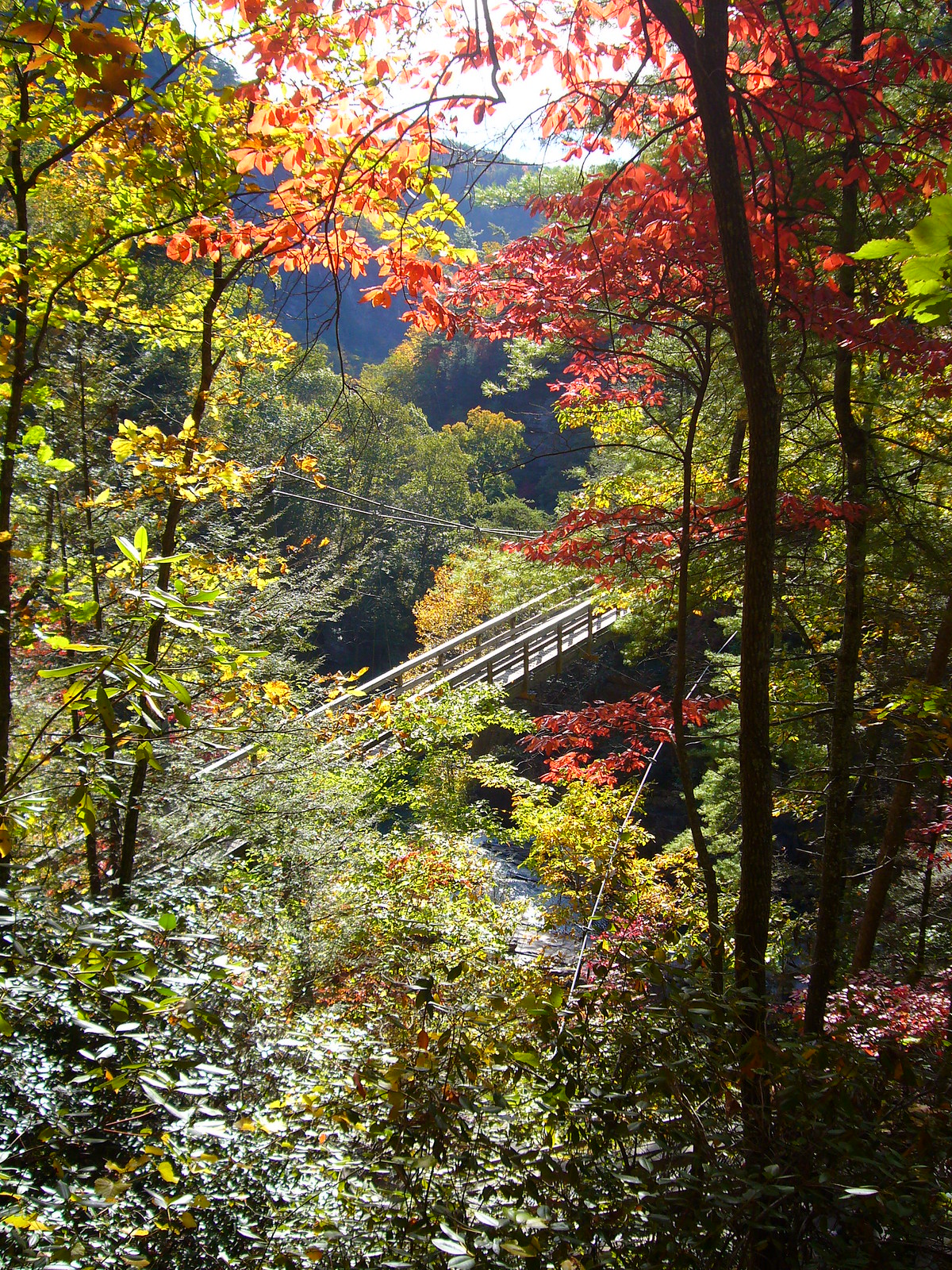 Tallulah Gorge