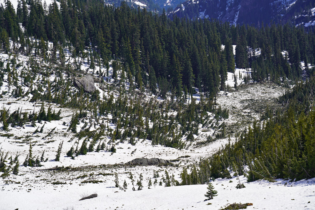 Avalanche debris from 2020/2021 winter. It looked unusually large.