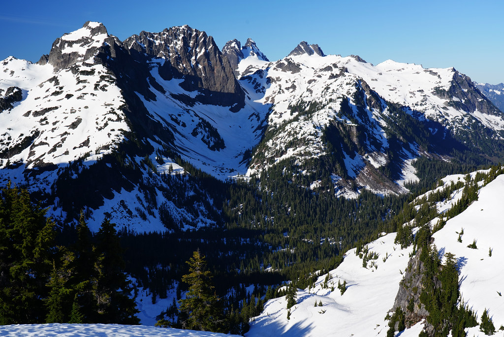 Summit Chief