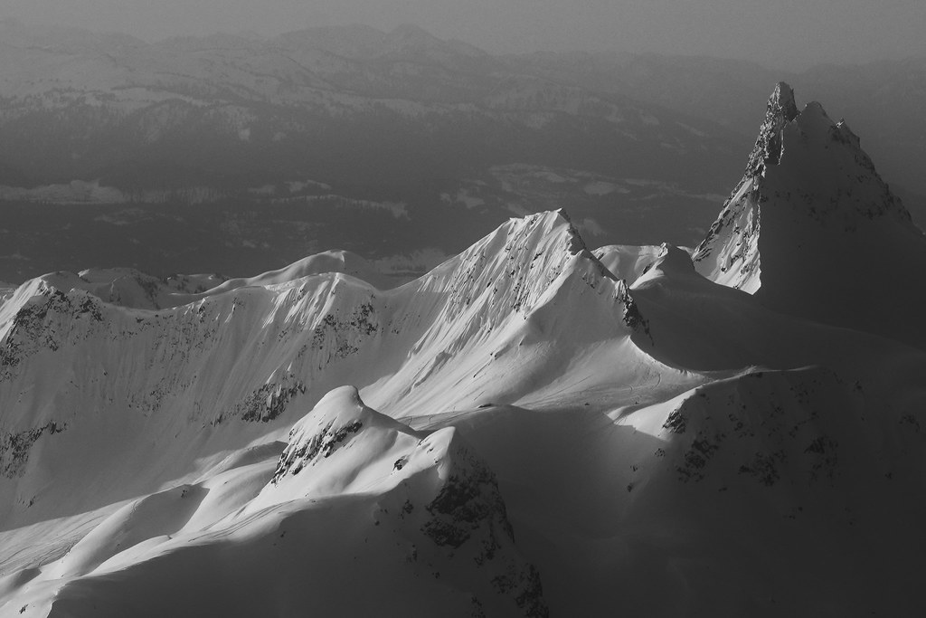 Mt Fee