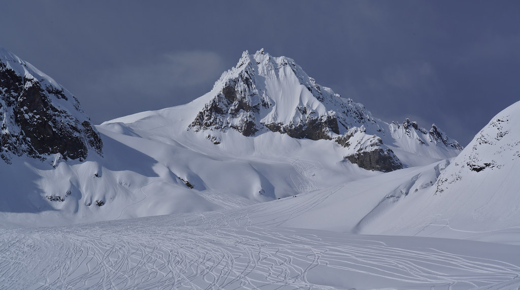 Mt Cayley