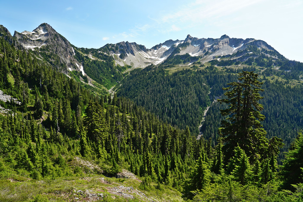 Upper Seattle Creek area