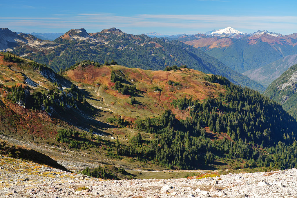 Mt Baker from Vista Ridge