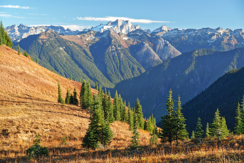 Dome Peak from Grassy Ridge