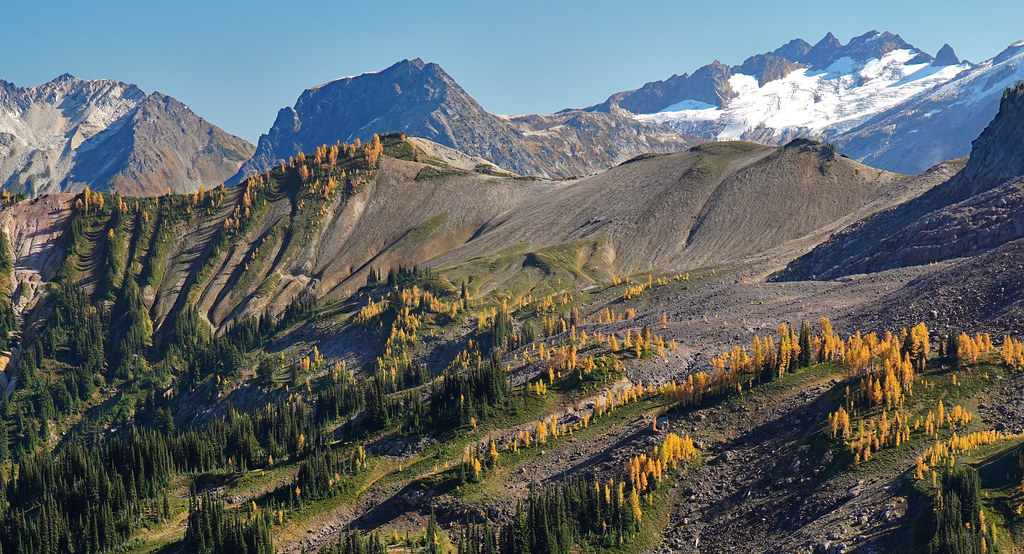 Gamma Ridge, Larches, Butterfly Glacier