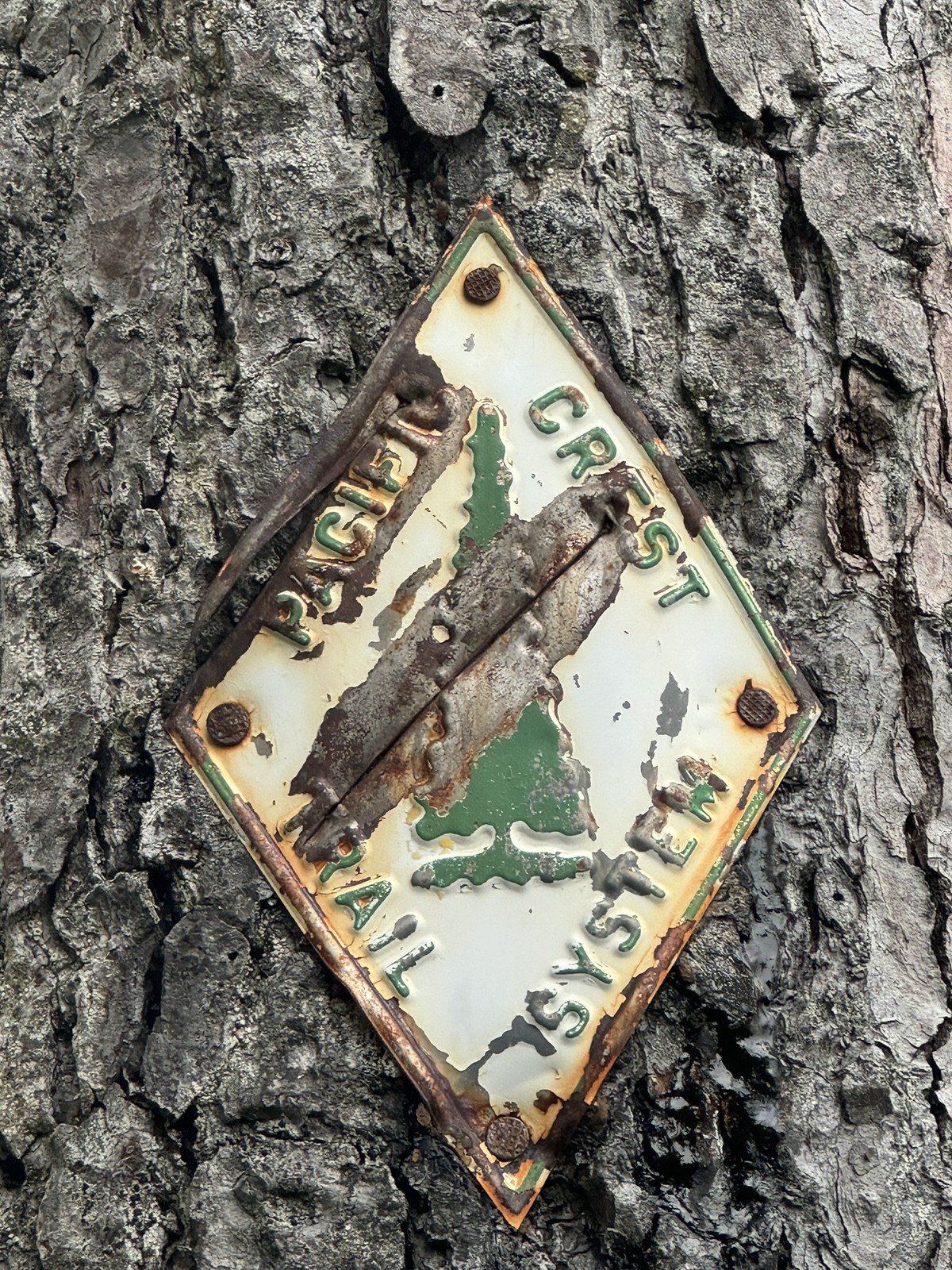 Old Pacific Crest Trail Blaze