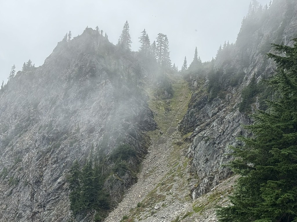Cascade Crest Trail side of Red Pass