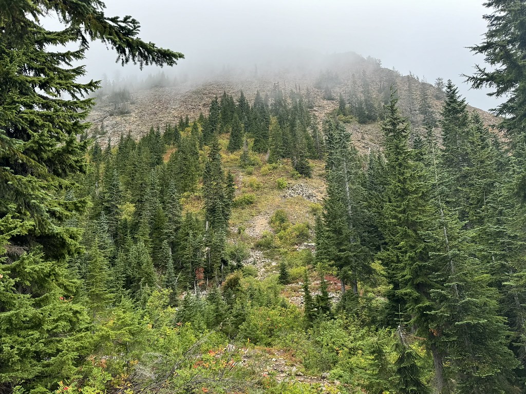 Begin of Red Mountain Scramble