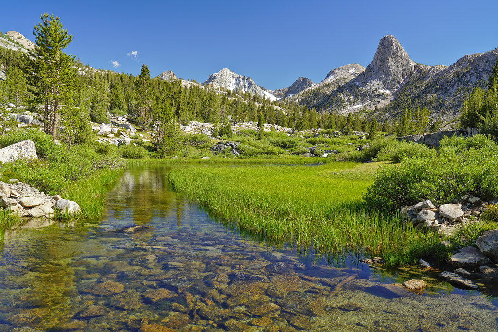 Beautiful wetlands at the South Fork Woods Creek crossing