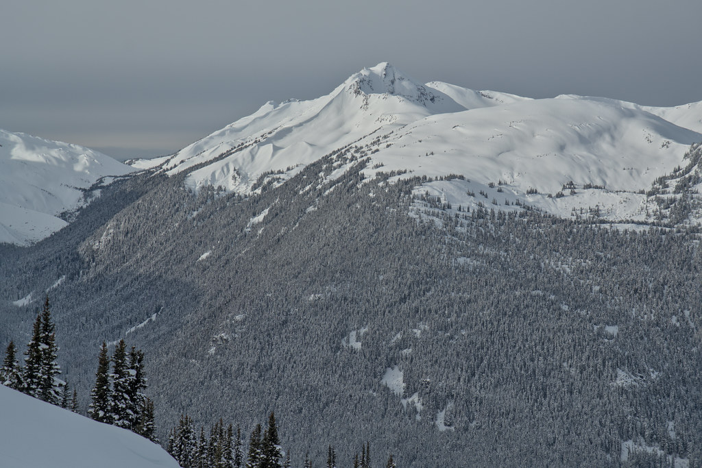 Corrie and Gentian (Castle Towers Creek drainage)