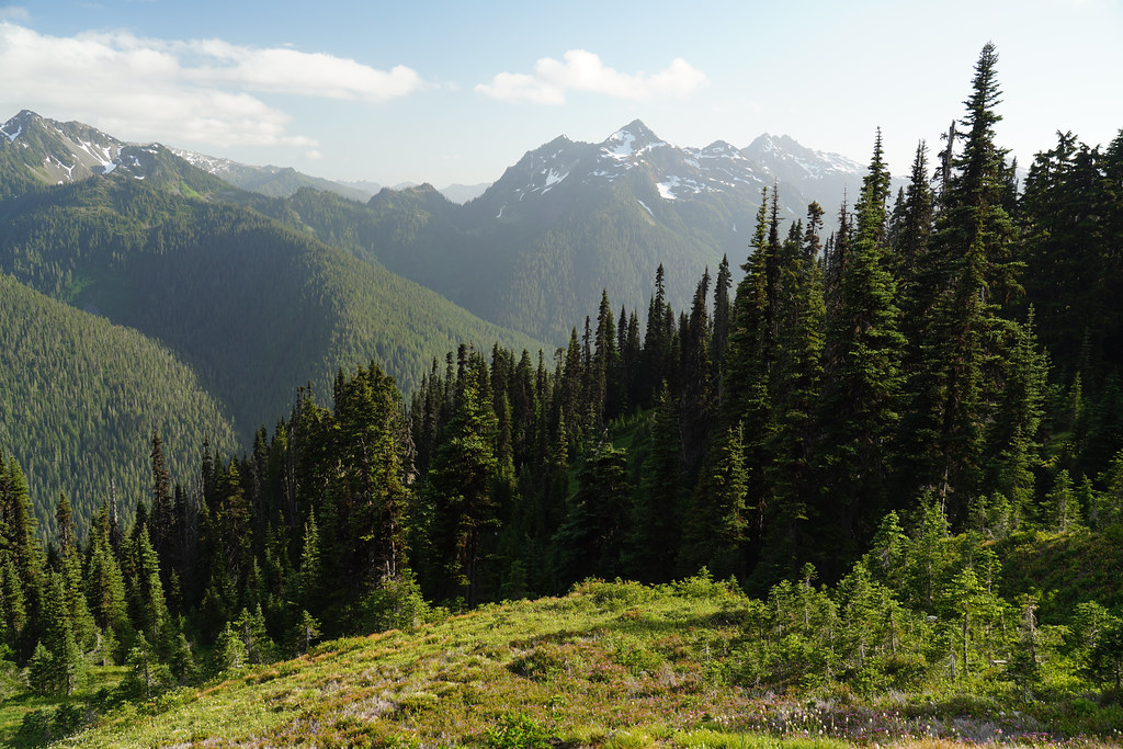 View from La Crosse Pass, looking at Steel and Duckabush